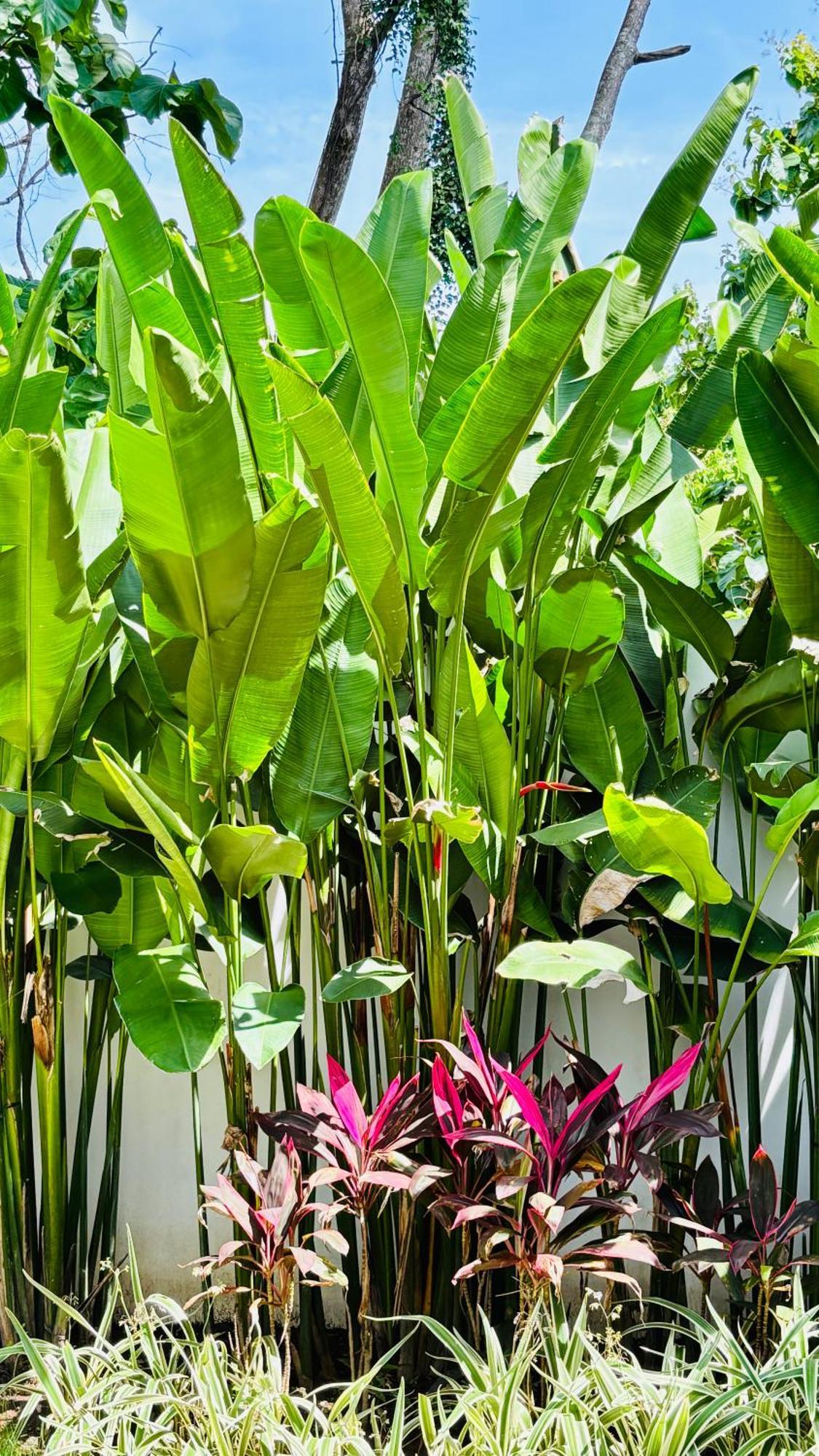 Mantra Wellness Center Otel Uluwatu Dış mekan fotoğraf